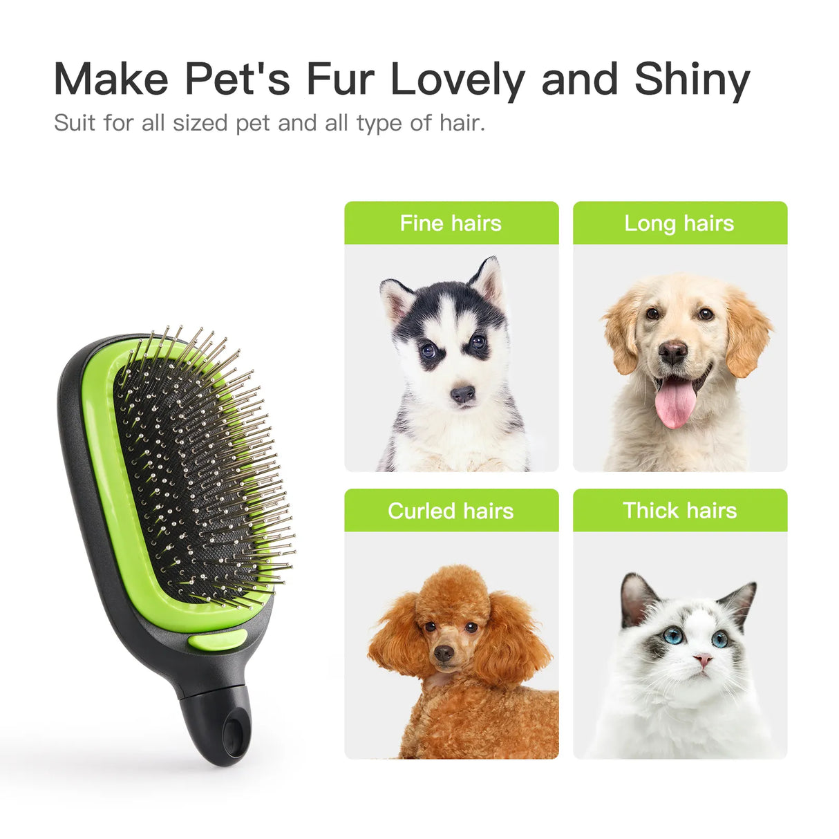 Pet Grooming Accessories.