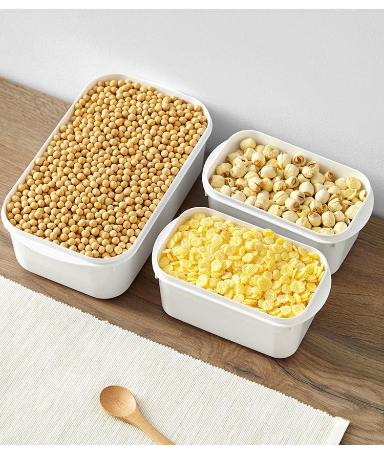 multi-function Plastic Storage box With Lid.