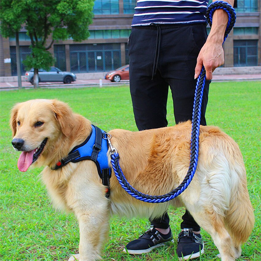Pets Adjustable Harness and Leash.