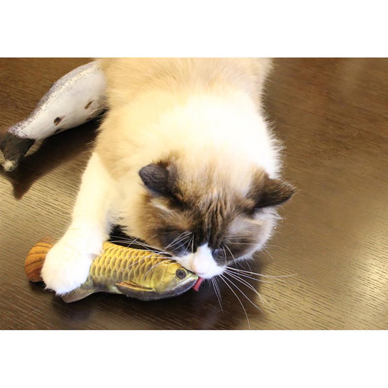 3D Fish Plush Cat Toy.
