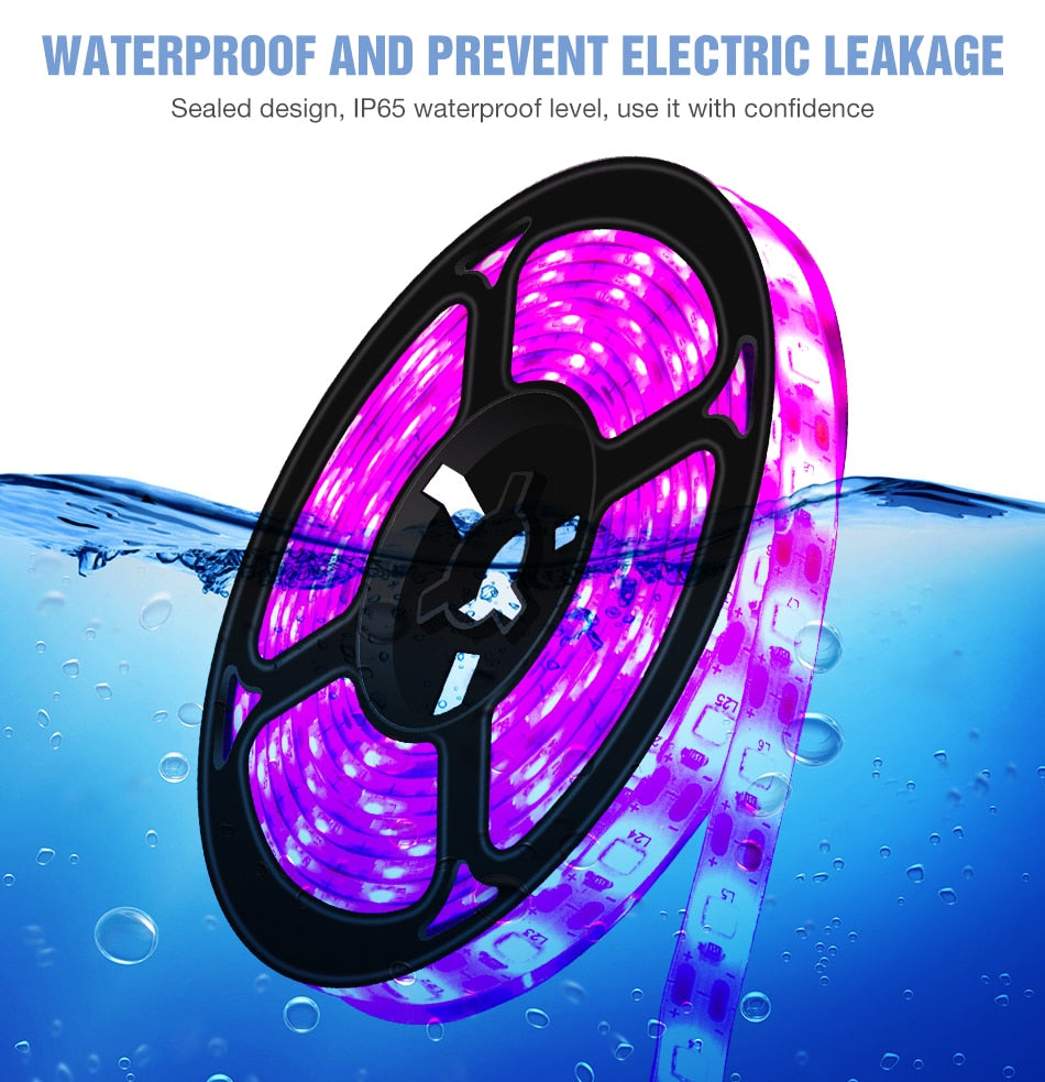 LED/USB Full Spectrum Phyto Lamp 5V with Grow Light Strip 0.5m 1m 2m 3m.