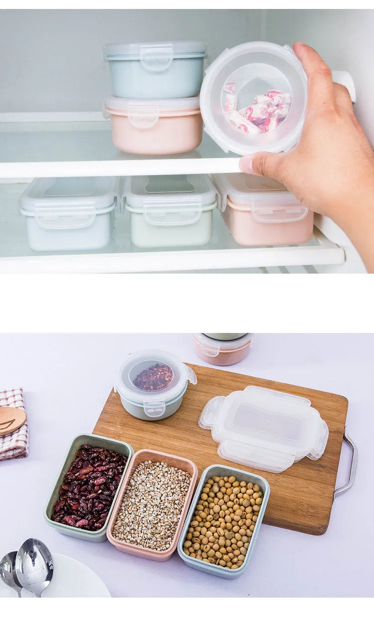 Plastic Lunch Bento OR Storage Food Box With Seal Proof Lid.