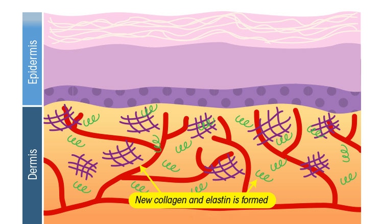 Beard maintenance kits. Variety to pick from.