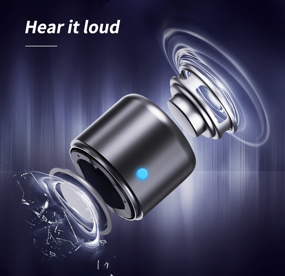 EWA A106 Pro Mini Bluetooth Speaker with Custom Bass Radiator, IPX7 Waterproof, With Travel Case