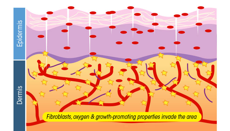 Beard maintenance kits. Variety to pick from.