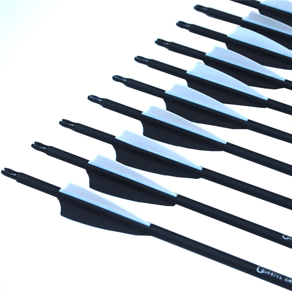 Carbon Arrow 28,30 and 31Inch Spine 500 with Replaceable Arrowhead for Compound/Recurve Bow Archery Hunting