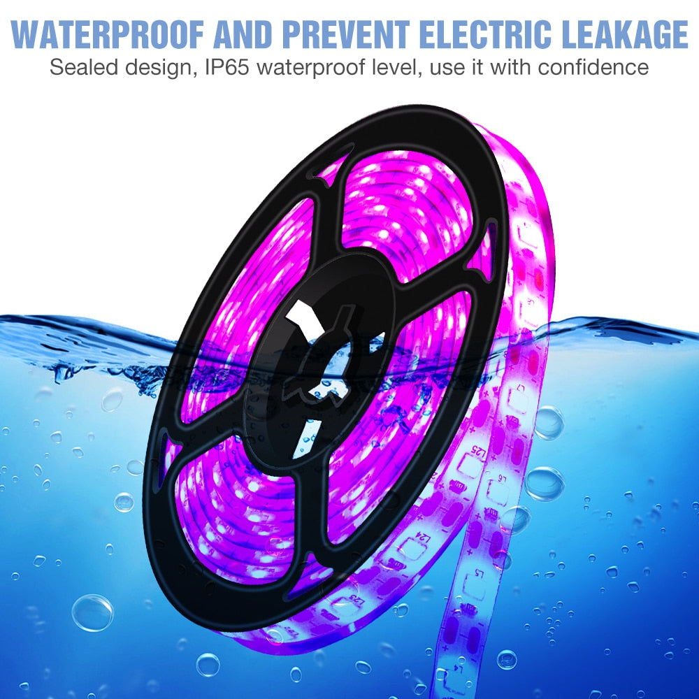 LED/USB Full Spectrum Phyto Lamp 5V with Grow Light Strip 0.5m 1m 2m 3m.