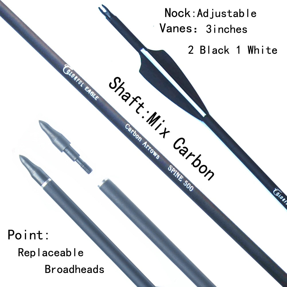 Carbon Arrow 28,30 and 31Inch Spine 500 with Replaceable Arrowhead for Compound/Recurve Bow Archery Hunting