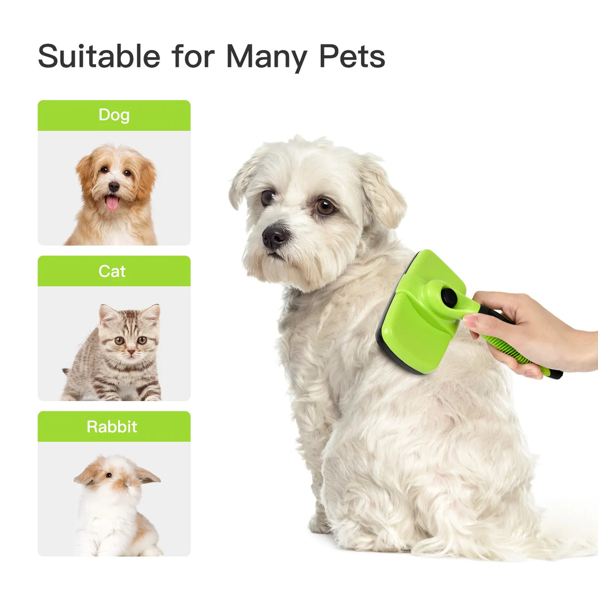 Pet Grooming Accessories.