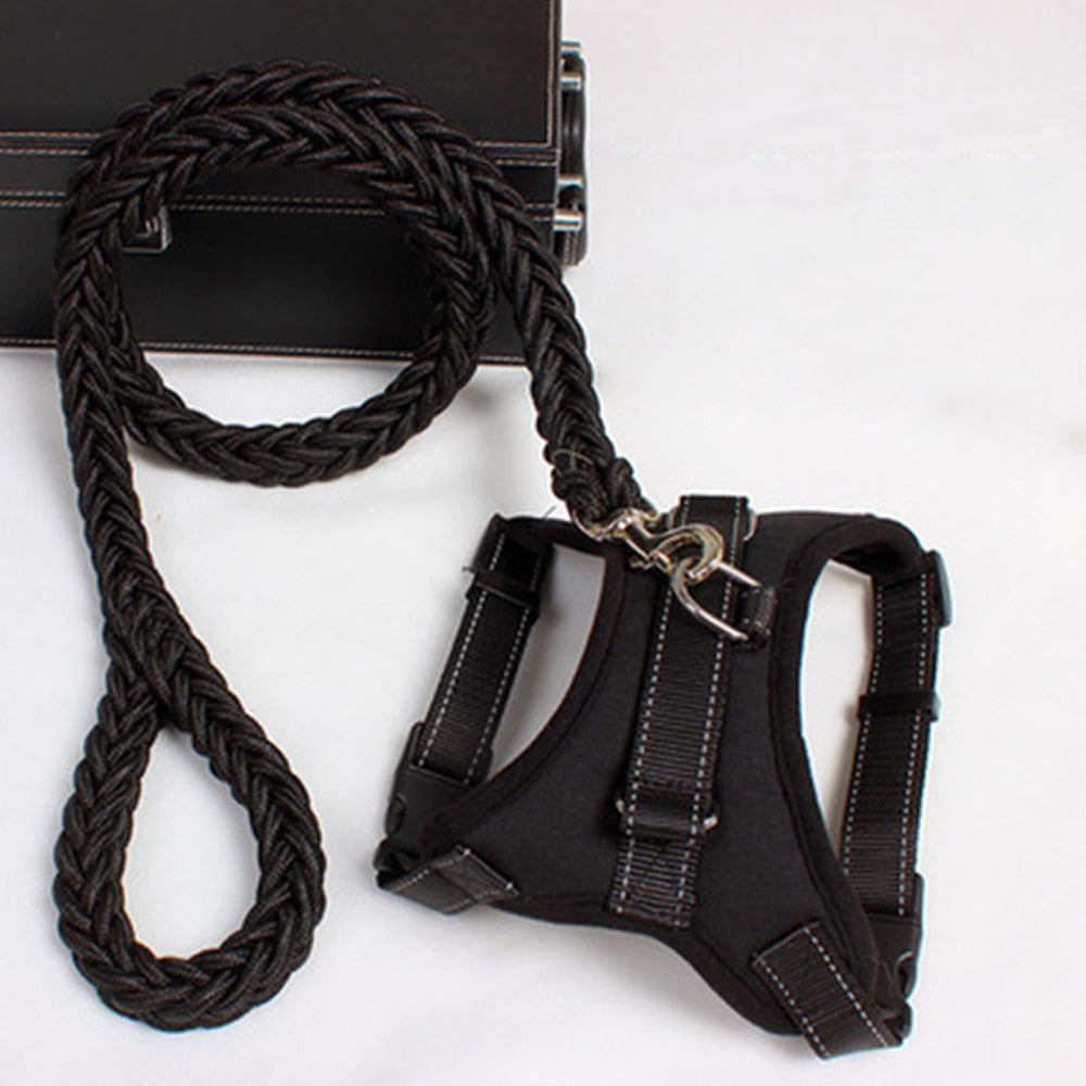 Pets Adjustable Harness and Leash.