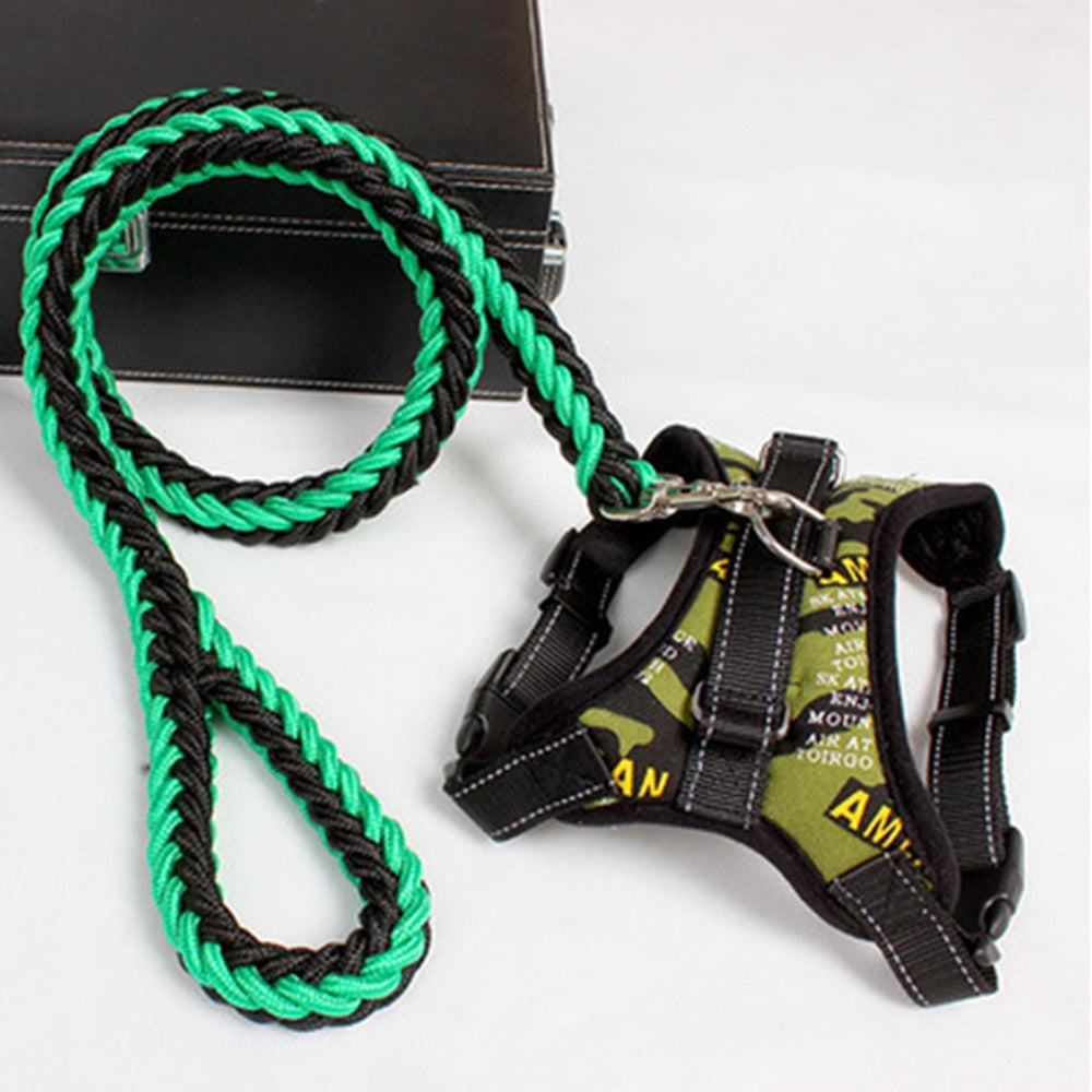 Pets Adjustable Harness and Leash.