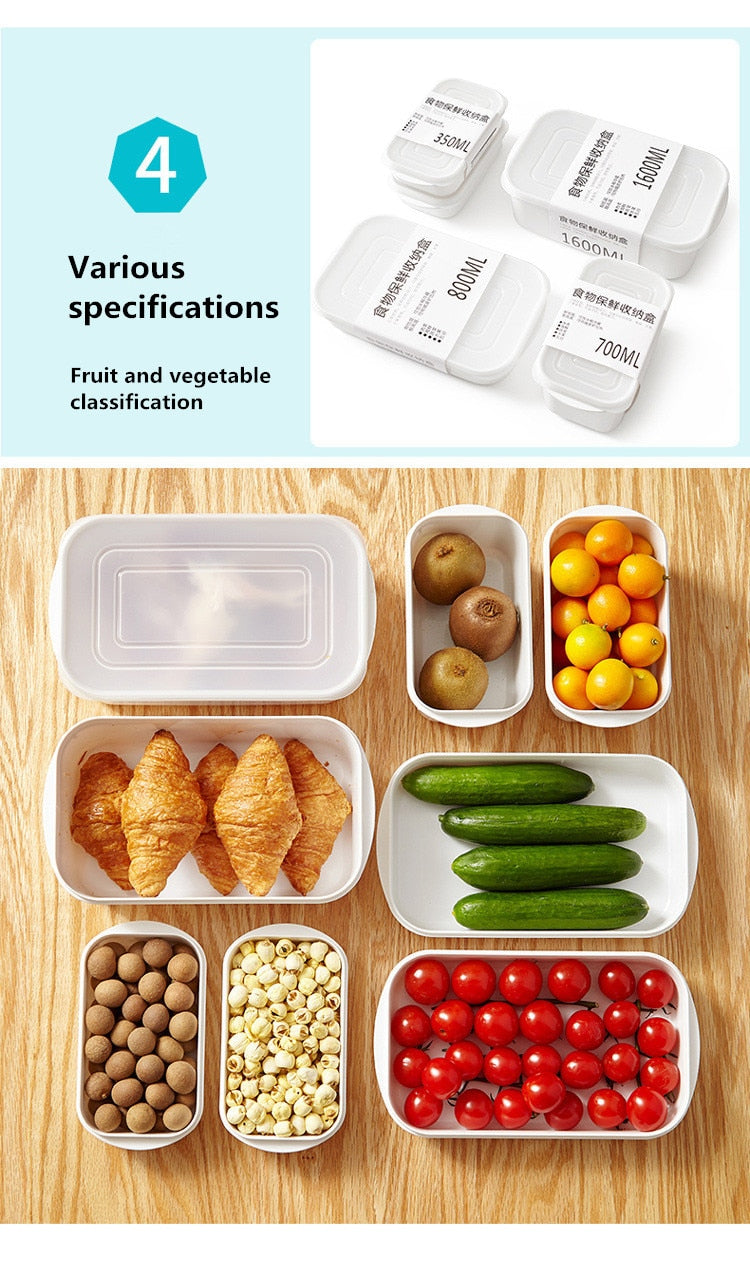 multi-function Plastic Storage box With Lid.