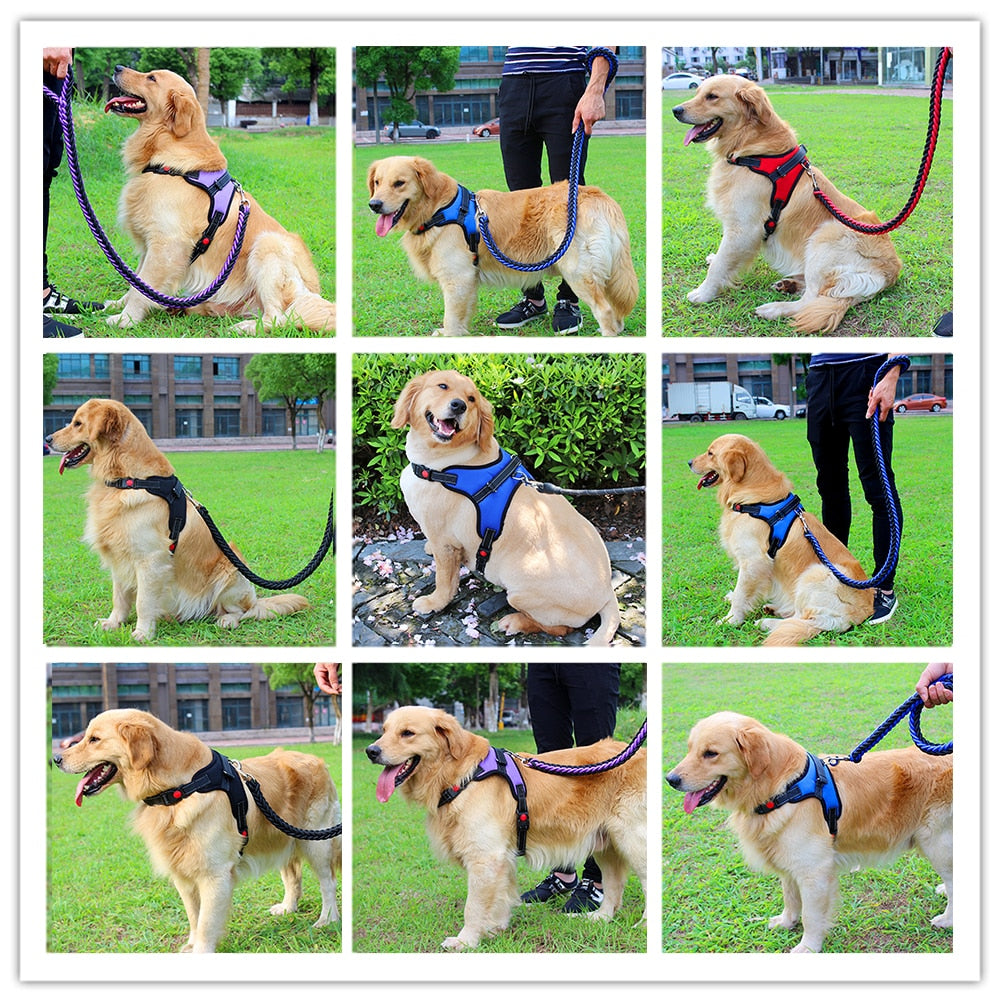 Pets Adjustable Harness and Leash.