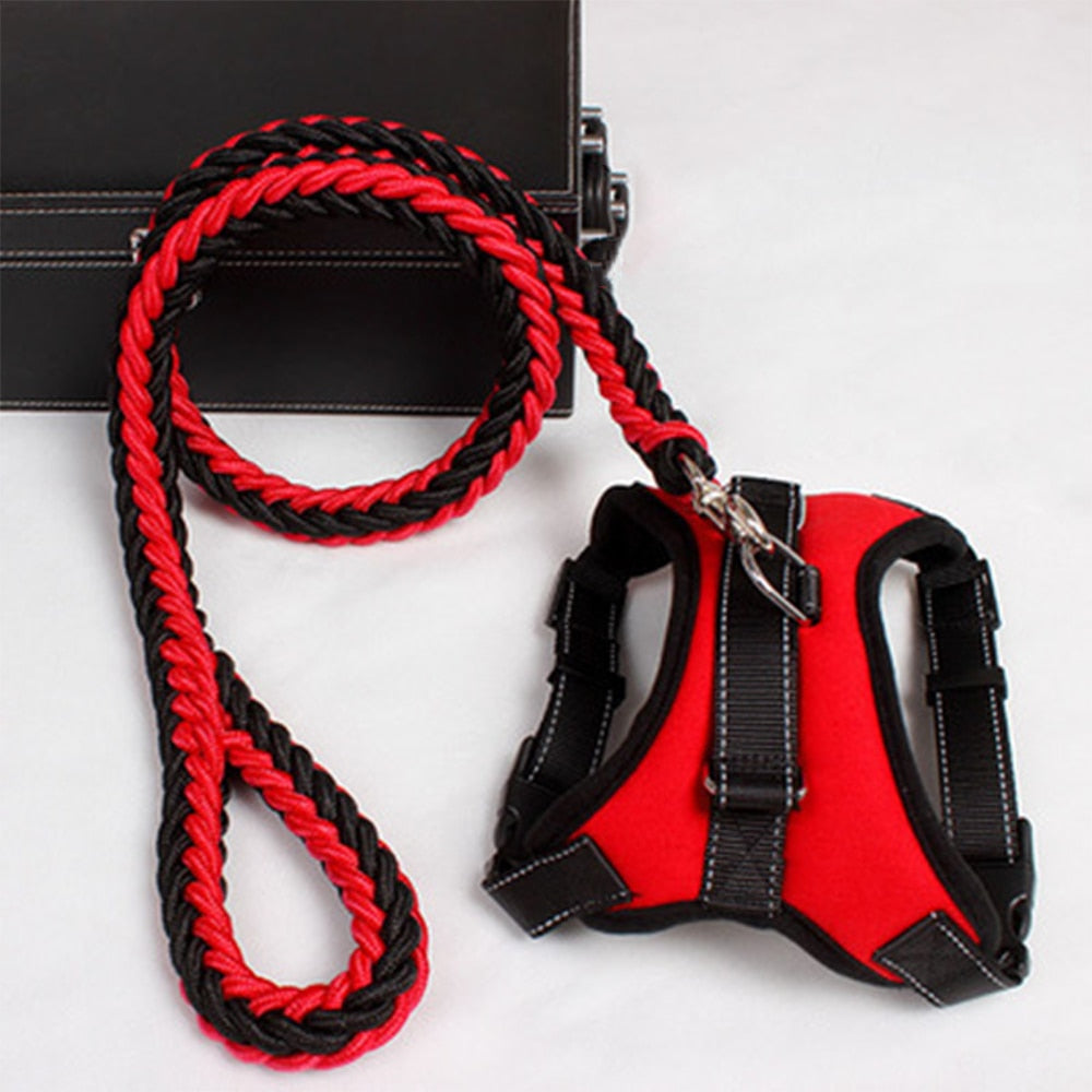 Pets Adjustable Harness and Leash.