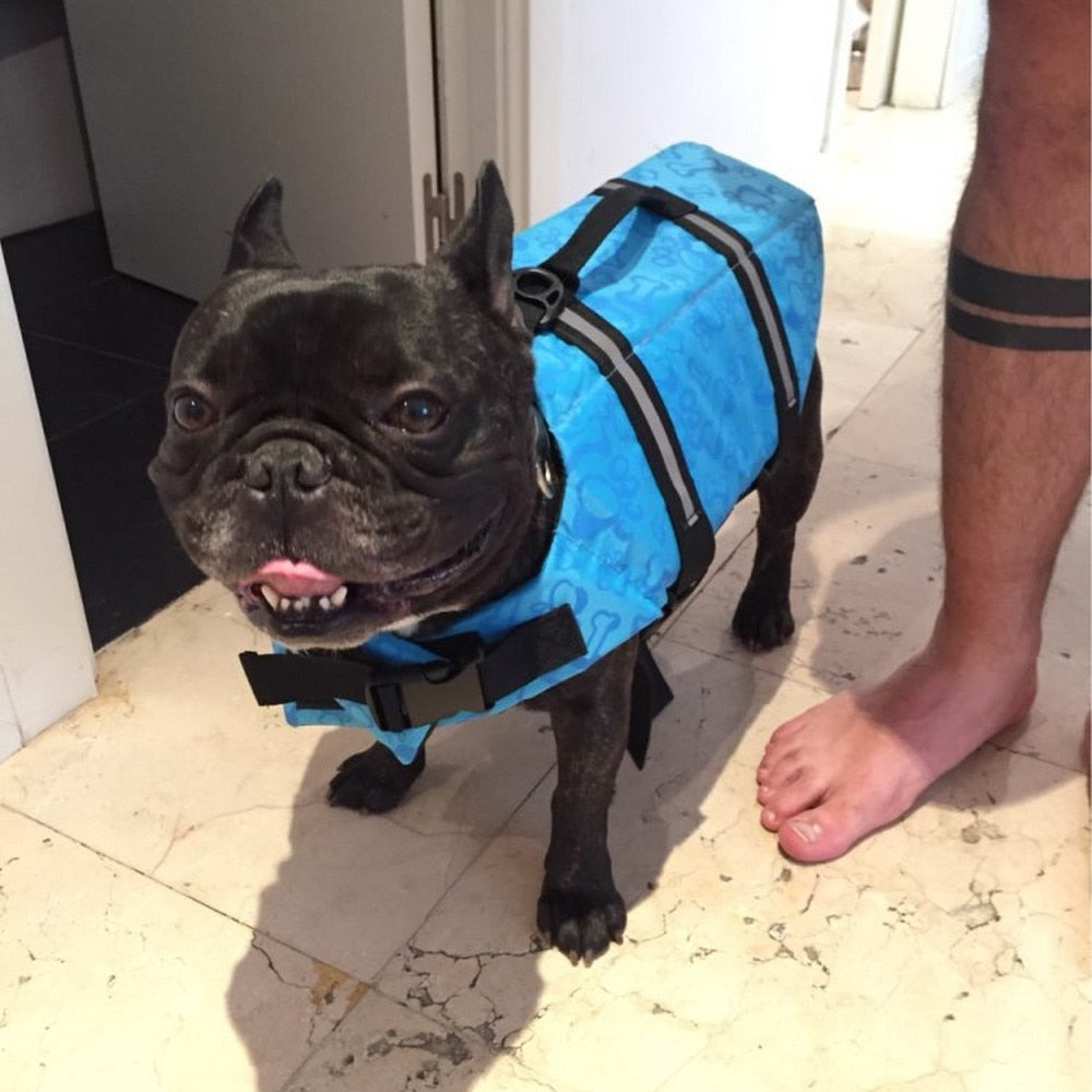 Pet water safety vest with summer prints.