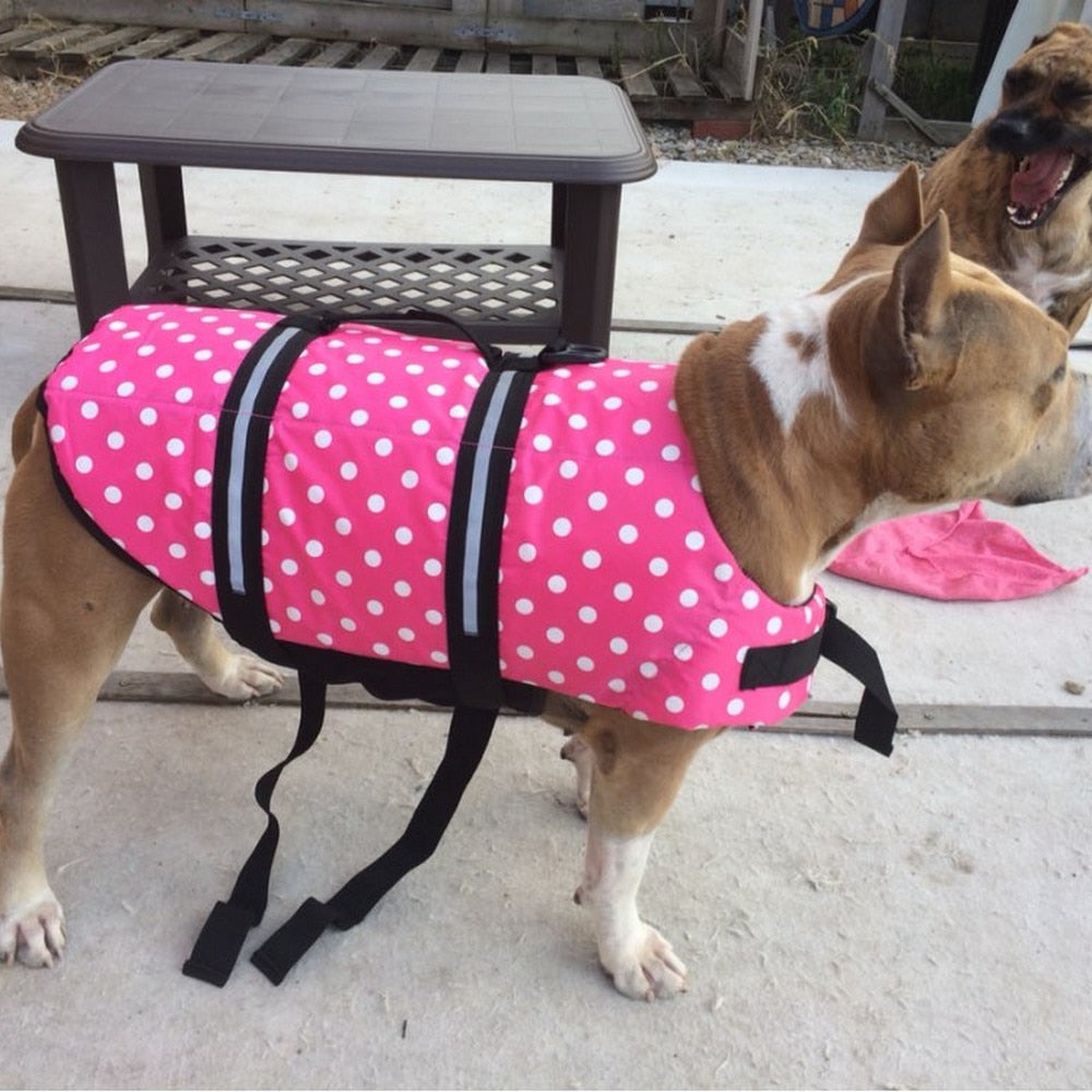 Pet water safety vest with summer prints.