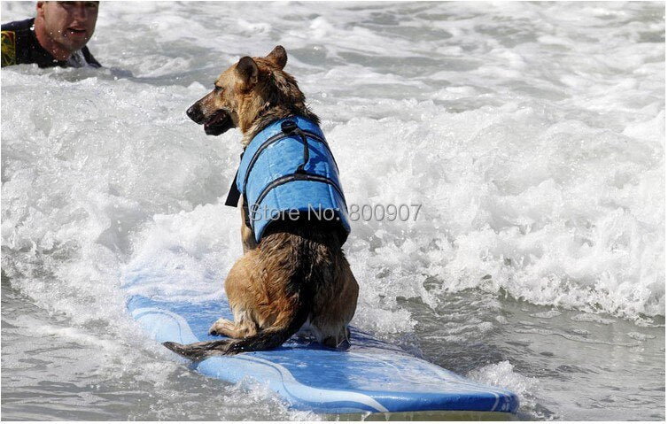 Pet water safety vest with summer prints.