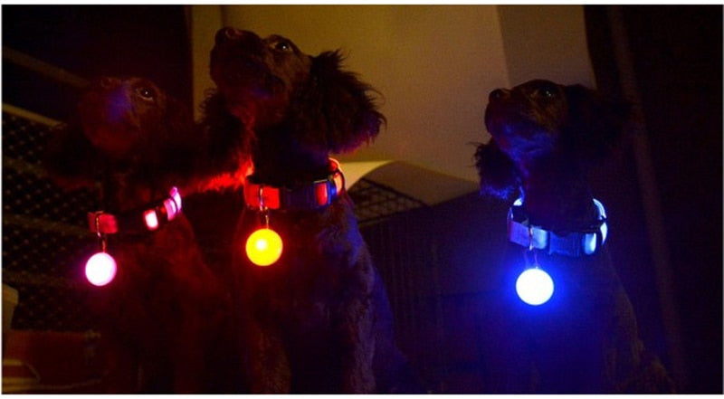 LED Night Safety Glowing Pendant That Clips on to Your Dogs Collar OR Can Clip on to Personal Key Chains.