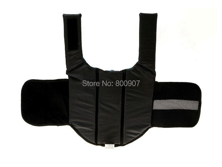 Pet water safety vest with summer prints.