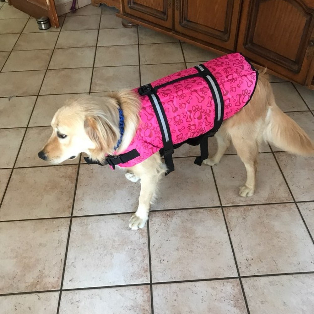 Pet water safety vest with summer prints.