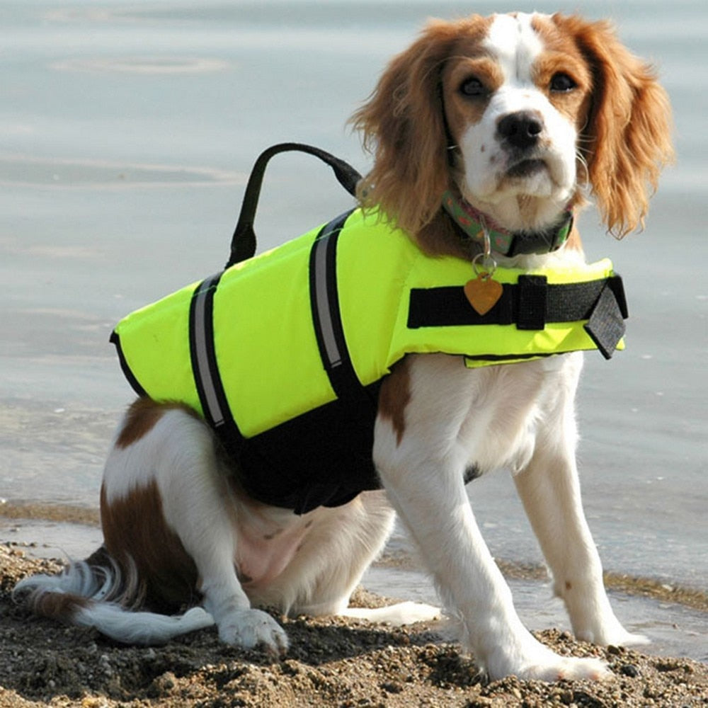 Pet water safety vest with summer prints.