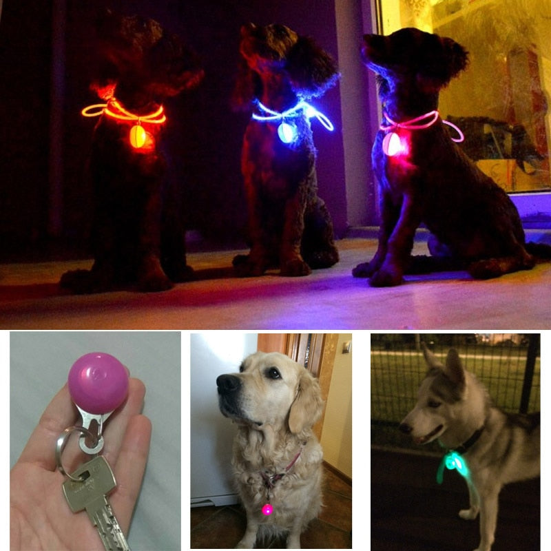 LED Night Safety Glowing Pendant That Clips on to Your Dogs Collar OR Can Clip on to Personal Key Chains.