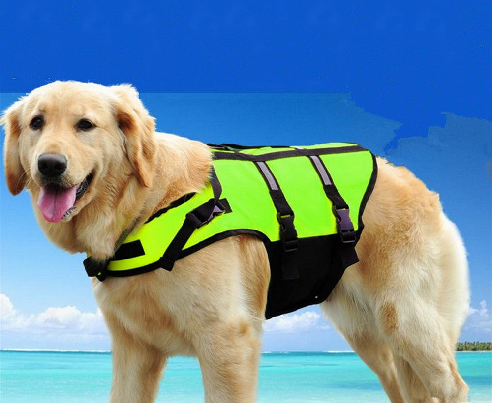 Pet water safety vest with summer prints.