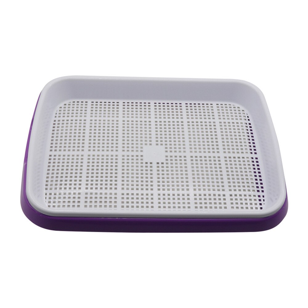 Double Layer Hydroponic Seedling Tray.  Great for Starting Off Seeds for Vegetables .