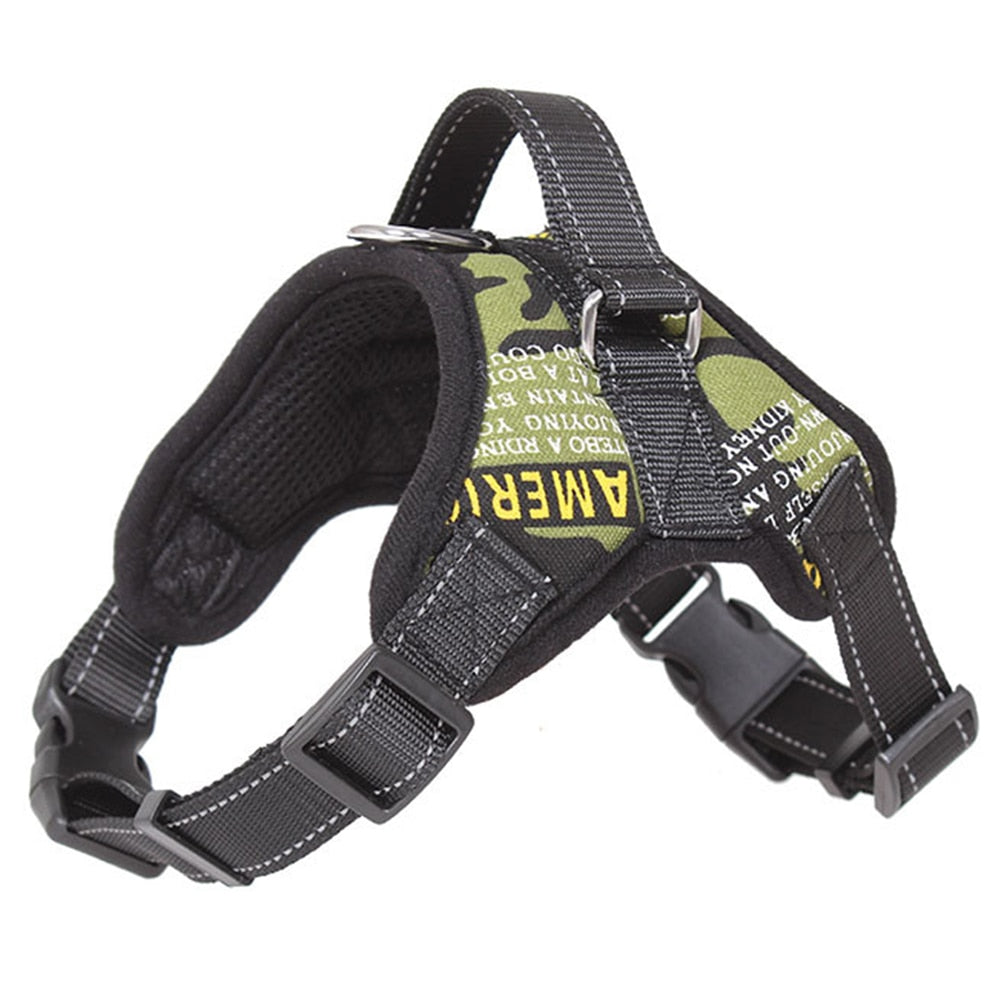 Pets Adjustable Harness and Leash.