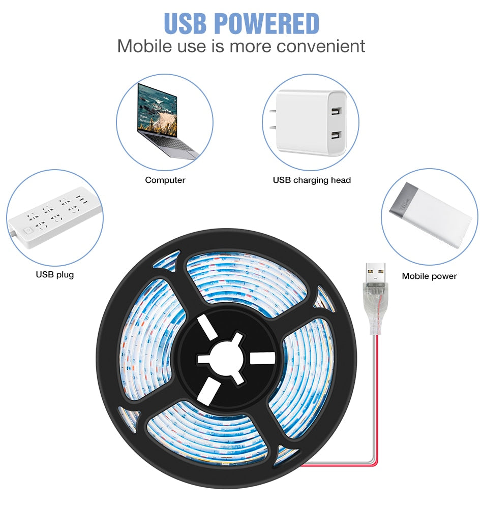 LED/USB Full Spectrum Phyto Lamp 5V with Grow Light Strip 0.5m 1m 2m 3m.