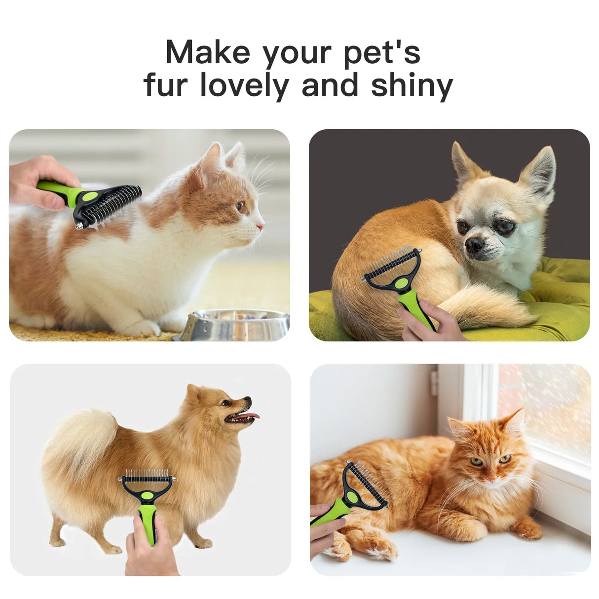 Pet Grooming Accessories.