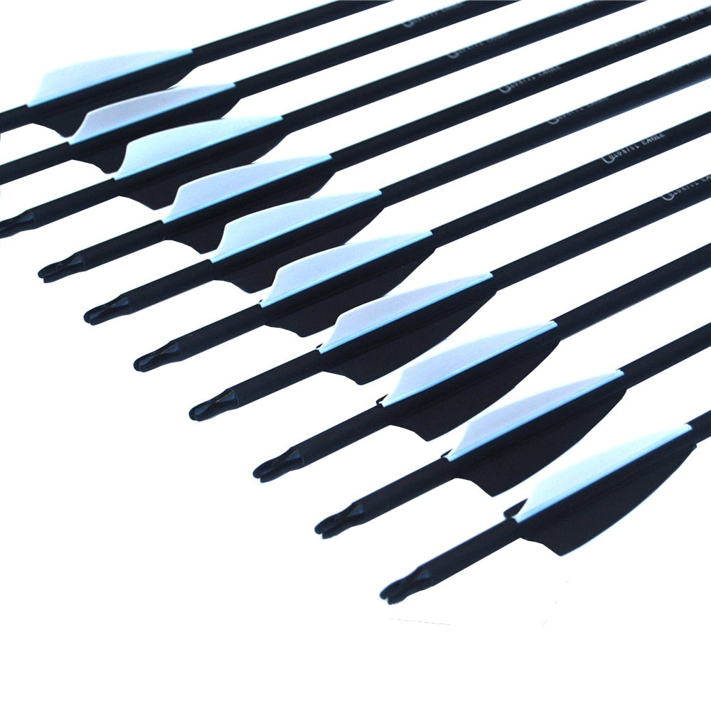 Carbon Arrow 28,30 and 31Inch Spine 500 with Replaceable Arrowhead for Compound/Recurve Bow Archery Hunting