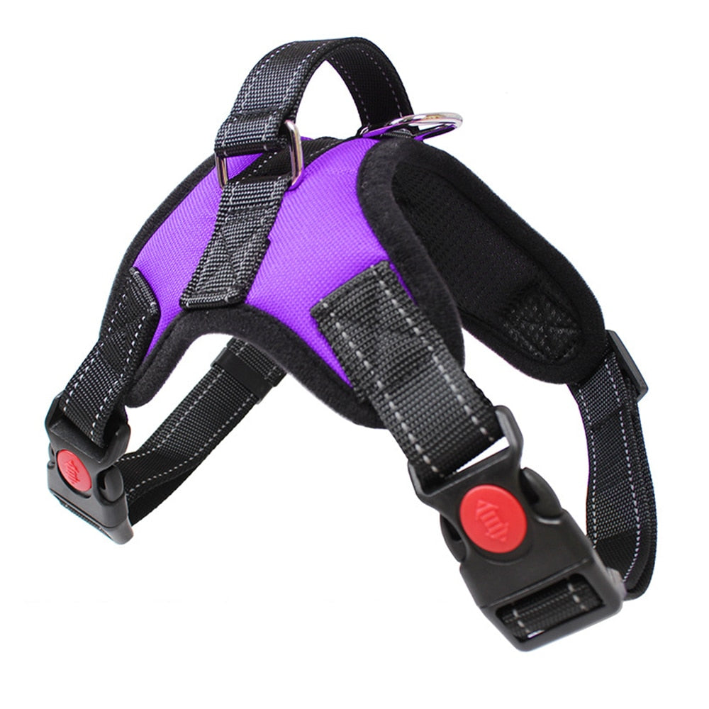 Pets Adjustable Harness and Leash.