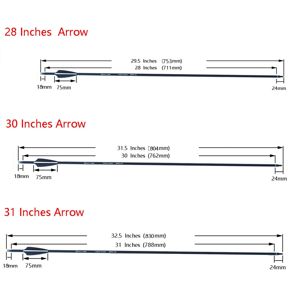 Carbon Arrow 28,30 and 31Inch Spine 500 with Replaceable Arrowhead for Compound/Recurve Bow Archery Hunting