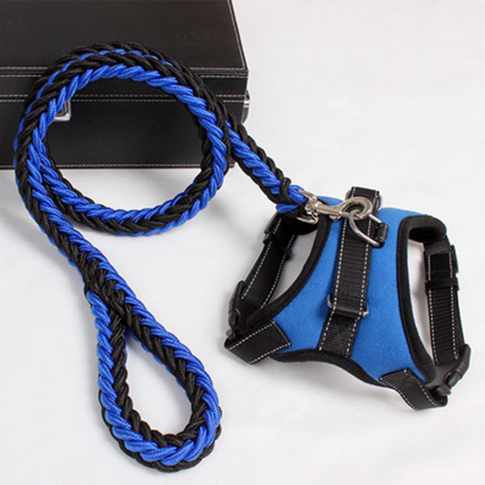 Pets Adjustable Harness and Leash.
