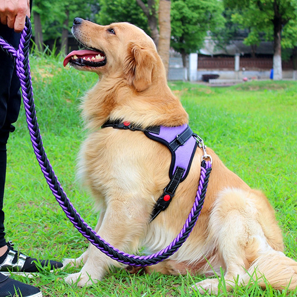 Pets Adjustable Harness and Leash.