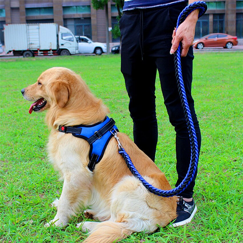 Pets Adjustable Harness and Leash.