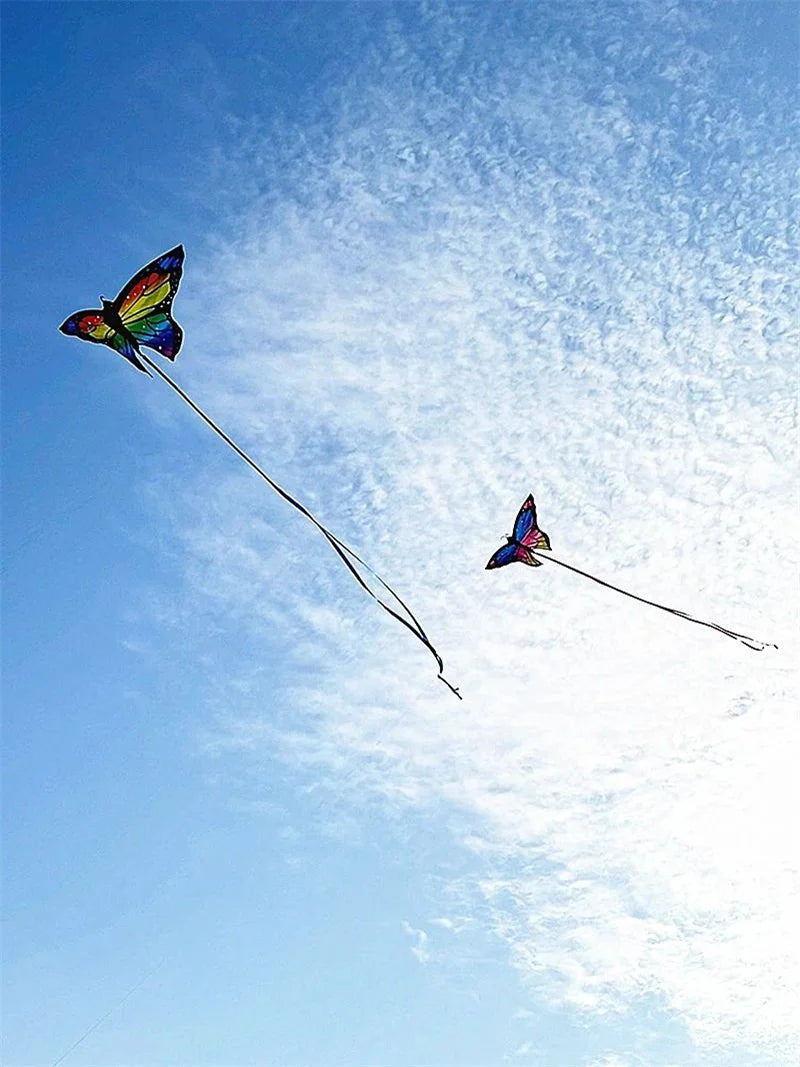 Colorful Inflatable Butterfly Kite