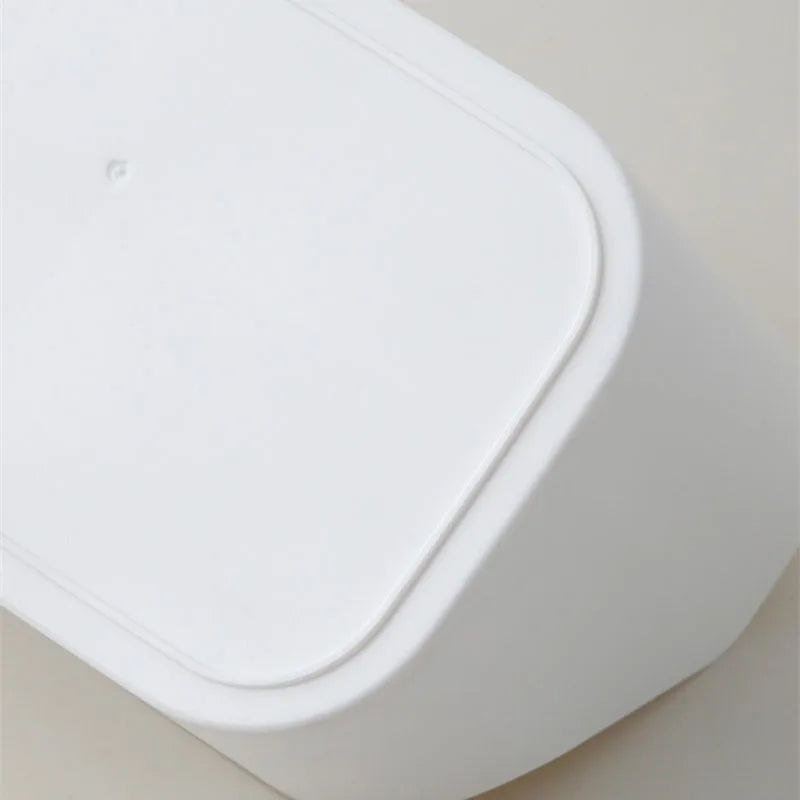 Cosmetic Storage Holder With Removable Dividers