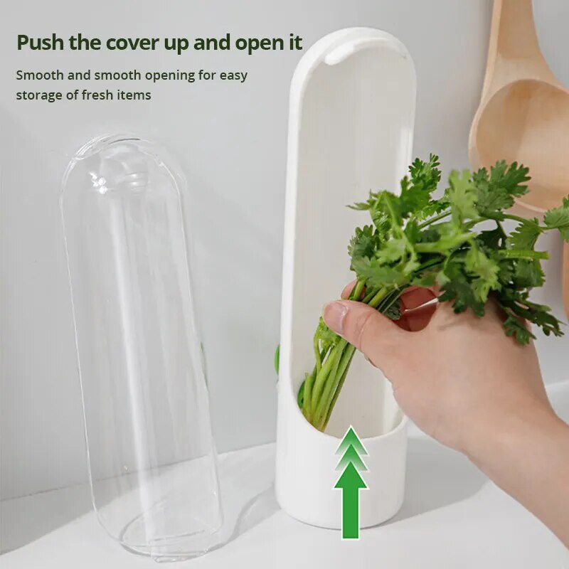 1 Pc Herb Or Vegetable Preserving Bottle.