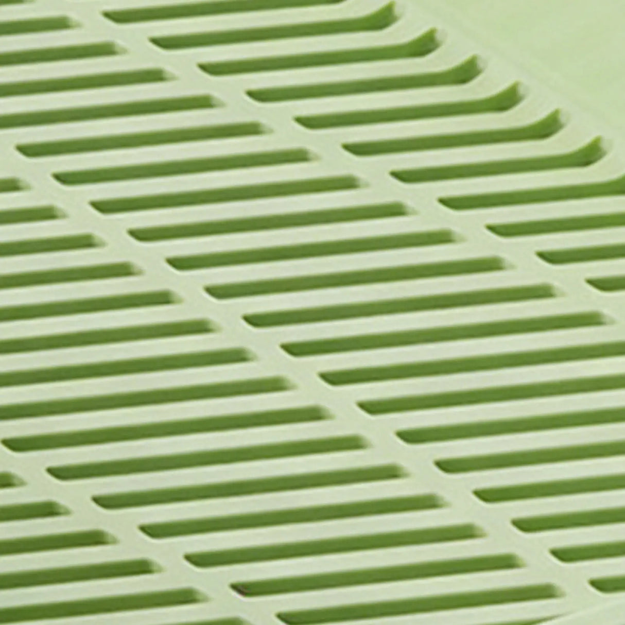 Hydroponic Cat Grass Planter