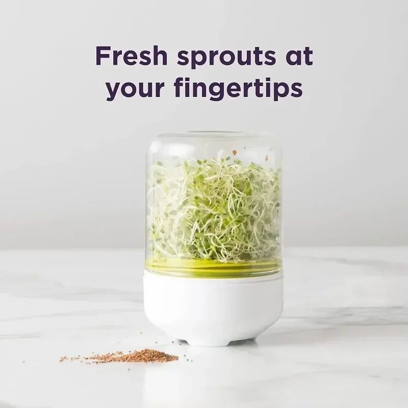 Reusable Seed Growing Container For Fresh Sprouts