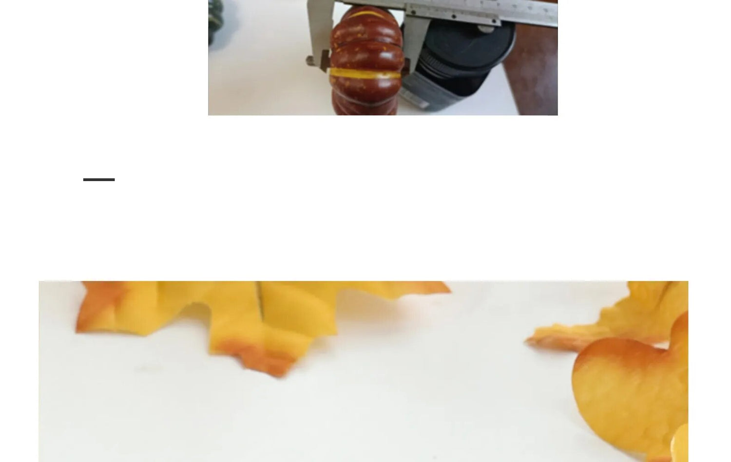 Mini Artificial Harvest Or Halloween Pumpkin Decorations.