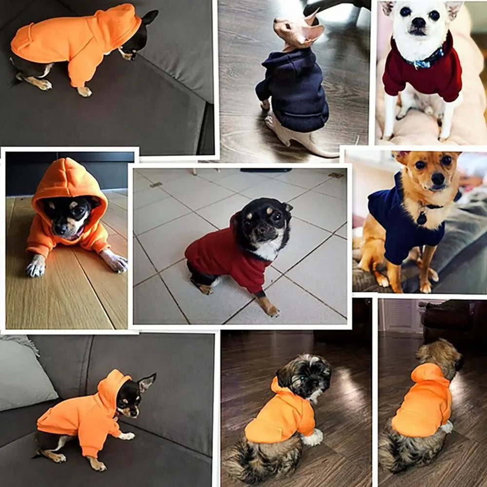 Pet Two-legged Hooded Sweatshirt With Pocket.