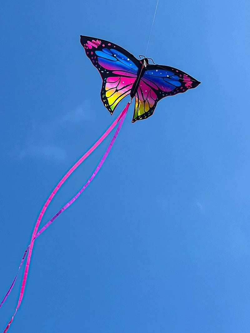 Colorful Inflatable Butterfly Kite