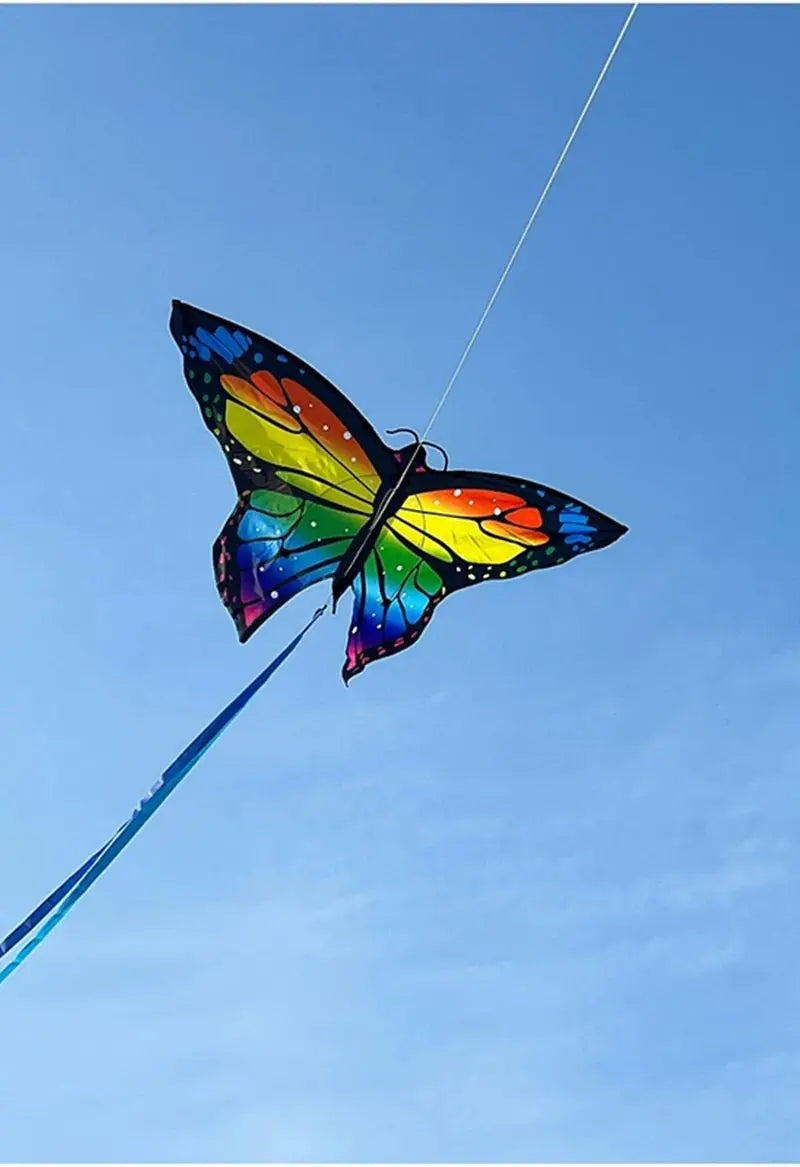 Colorful Inflatable Butterfly Kite