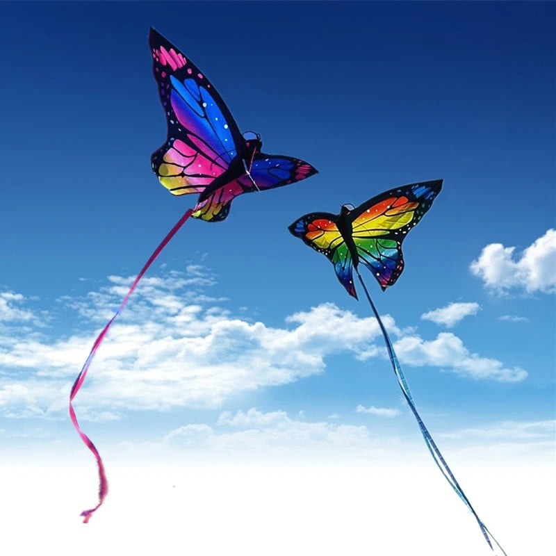 Colorful Inflatable Butterfly Kite