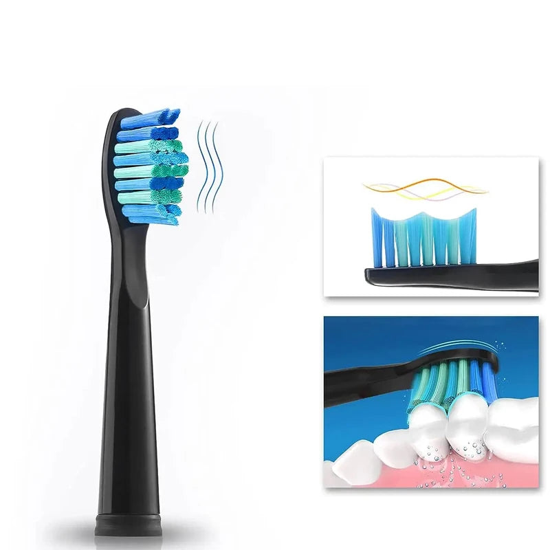 Replacement Brush Heads for Seago Electric Toothbrushes E1-9/SG2303/SG575