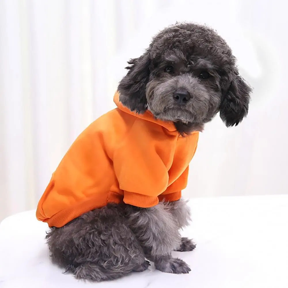 Pet Two-legged Hooded Sweatshirt With Pocket.