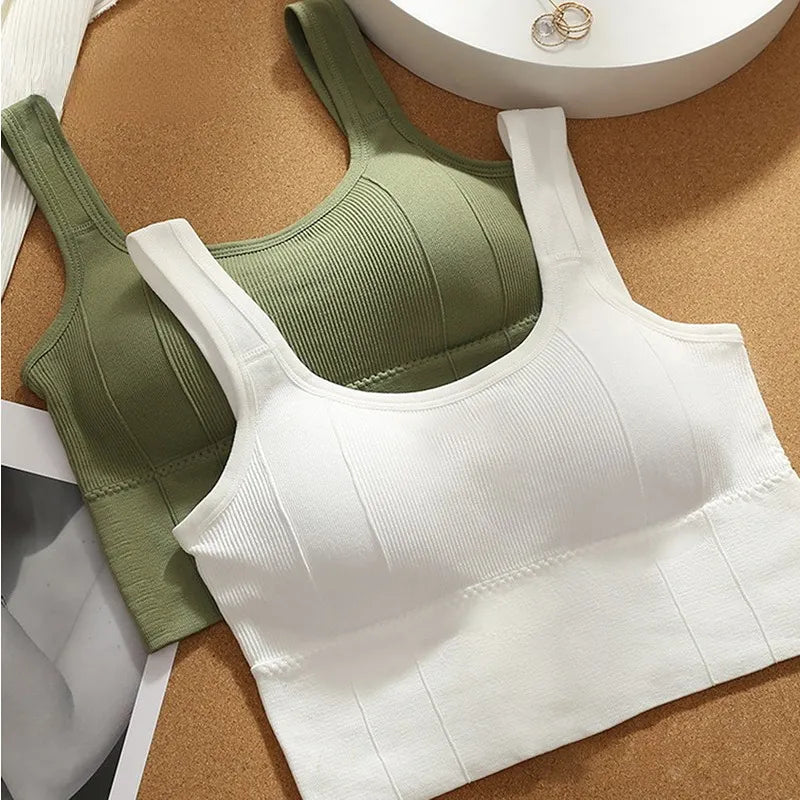 Breathable/Seamless Sports Bra.